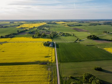 drone görüntü. güneşli bahar günü içinde tecavüz tohum ekili alanlar ile havadan görünümü kırsal alan. Letonya
