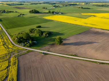 drone görüntü. kırsal alan havadan görünümü ile ekili alanları