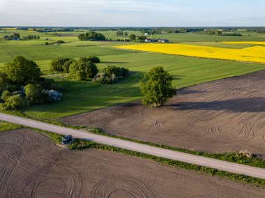 drone görüntü. kırsal alan alanları ve yol altyapı bahar günü hava görünümünü. Letonya