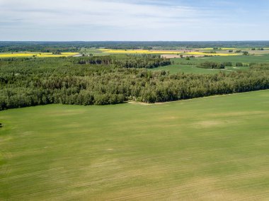 Drone görüntü. alanları ve bulutlu bahar günü ormanlarda kırsal alan hava görünümünü. Letonya
