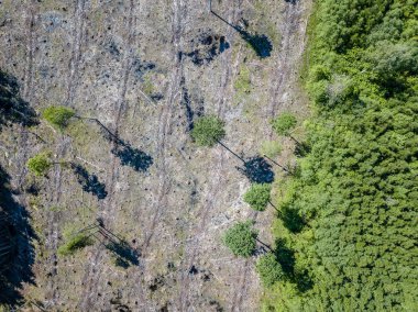 Drone görüntü. alanları ve bulutlu bahar günü ormanlarda kırsal alan hava görünümünü. Letonya