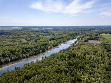 drone görüntü. orman yeşil su ile gölde kırsal alan hava görünümünü. Letonya