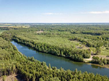 drone görüntü. orman yeşil su ile gölde kırsal alan hava görünümünü. Letonya