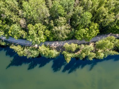 drone görüntü. orman yeşil su ile gölde kırsal alan hava görünümünü. Letonya