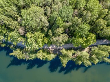 drone görüntü. orman yeşil su ile gölde kırsal alan hava görünümünü. Letonya