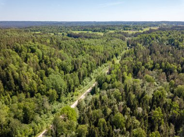 drone görüntü. bulutlu bahar günü ormandaki nehir ile kırsal alan hava görünümünü. Letonya