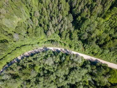 drone görüntü. güneşli günde orman yolu ile kırsal alan hava görünümünü. Letonya