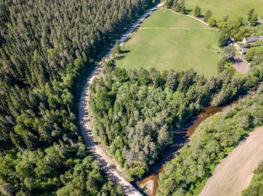drone görüntü. güneşli günde orman yolu ile kırsal alan hava görünümünü. Letonya