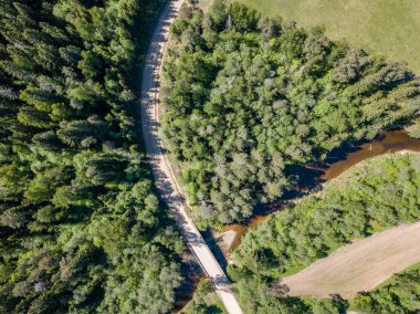 drone görüntü. güneşli günde orman yolu ile kırsal alan hava görünümünü. Letonya
