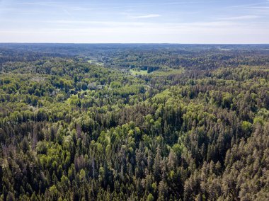 Drone görüntü. alanları ve bulutlu bahar günü ormanlarda kırsal alan hava görünümünü. Letonya