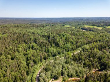 Drone görüntü. alanları ve bulutlu bahar günü ormanlarda kırsal alan hava görünümünü. Letonya