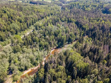 drone görüntü. bulutlu bahar günü ormandaki nehir ile kırsal alan hava görünümünü. Letonya