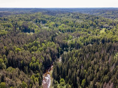 drone görüntü. bulutlu bahar günü ormandaki nehir ile kırsal alan hava görünümünü. Letonya
