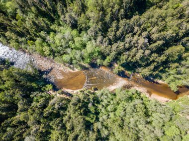 drone görüntü. bulutlu bahar günü ormandaki nehir ile kırsal alan hava görünümünü. Letonya
