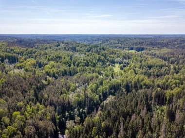 drone görüntü. bulutlu bahar günü ormandaki nehir ile kırsal alan hava görünümünü. Letonya