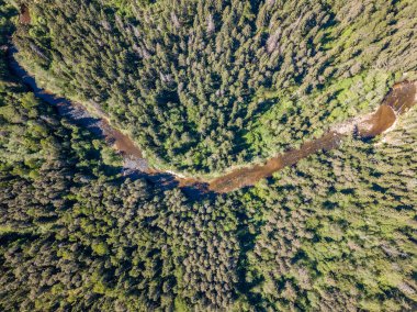 drone görüntü. güneşli günde orman yolu ile kırsal alan hava görünümünü. Letonya