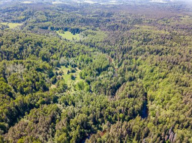 drone görüntü. bulutlu bahar günü ormandaki nehir ile kırsal alan hava görünümünü. Letonya