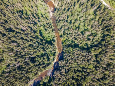 drone görüntü. bulutlu bahar günü ormandaki nehir ile kırsal alan hava görünümünü. Letonya