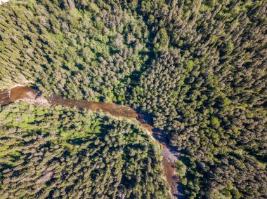 drone görüntü. bulutlu bahar günü ormandaki nehir ile kırsal alan hava görünümünü. Letonya