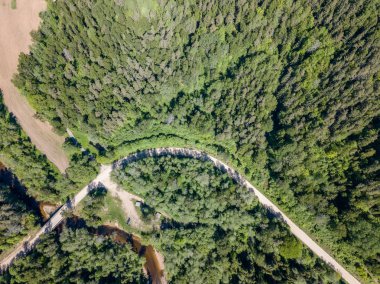 drone görüntü. güneşli günde orman yolu ile kırsal alan hava görünümünü. Letonya