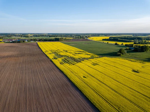 Drone Image Aerial View Rural Area Cultivated Fields Rape Seed — Stock Photo, Image