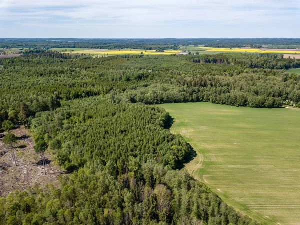 Drone Bild Flygfoto Över Landsbygden Med Fält Och Skogar Grumlig — Stockfoto