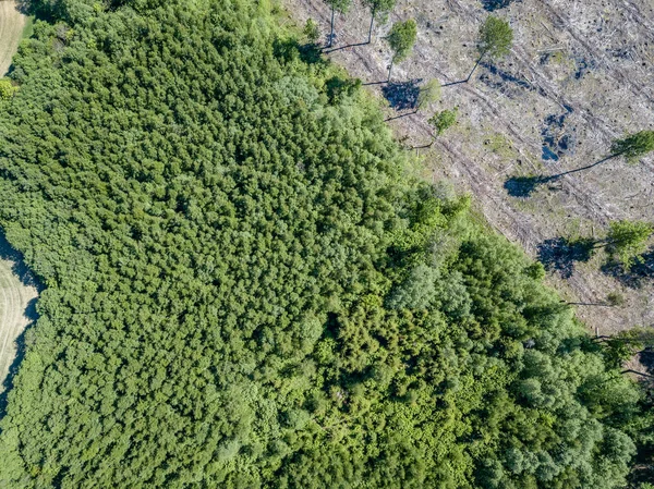 Drone Image Aerial View Rural Area Fields Forests Cloudy Spring — Stock Photo, Image