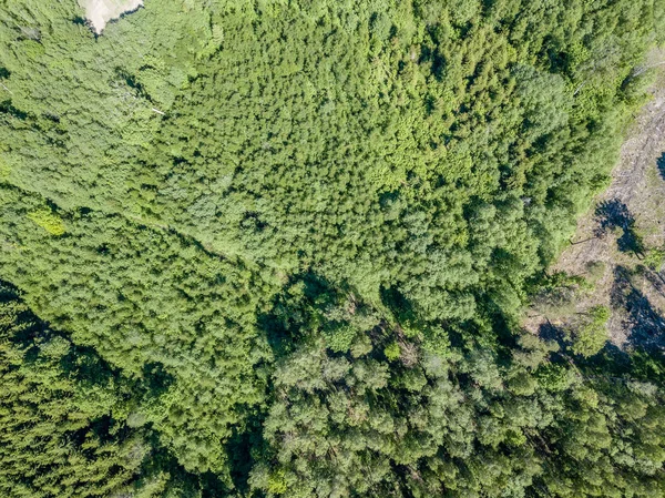 Изображение Дрона Воздушный Вид Сельской Местности Полями Лесами Пасмурный Весенний — стоковое фото