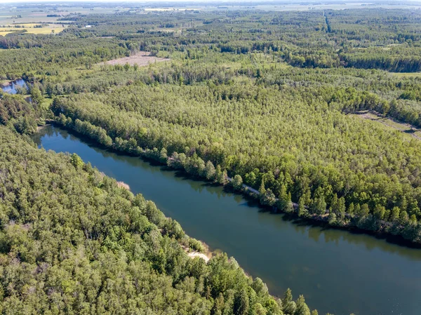 Drone Bild Flygfoto Över Landsbygdsområde Sjö Skogen Med Grönt Vatten — Stockfoto