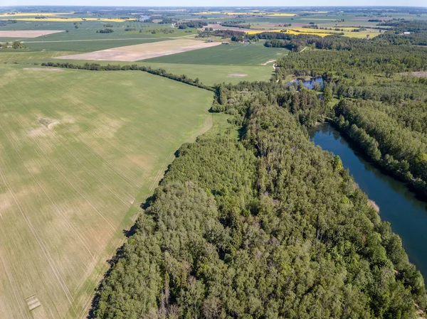 Drone Bild Flygfoto Över Landsbygdsområde Sjö Skogen Med Grönt Vatten — Stockfoto