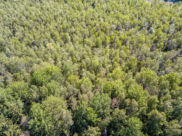 Drone Bild Flygfoto Över Landsbygden Med Fält Och Skogar Grumlig — Stockfoto