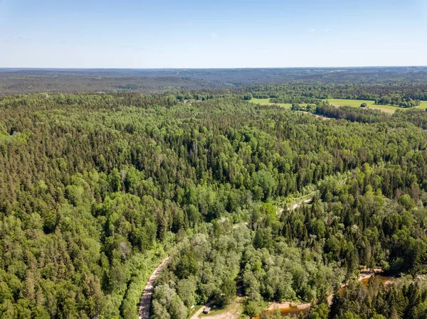 Drone görüntü. alanları ve bulutlu bahar günü ormanlarda kırsal alan hava görünümünü. Letonya