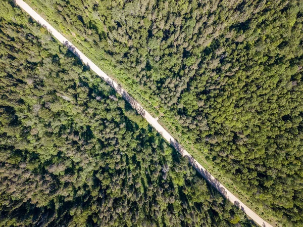 Drone Bild Flygfoto Över Landsbygden Med Skog Road Solig Dag — Stockfoto