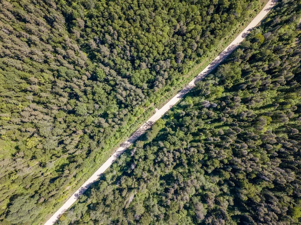 Изображение Дрона Воздушный Вид Сельскую Местность Лесной Дорогой Солнечный День — стоковое фото