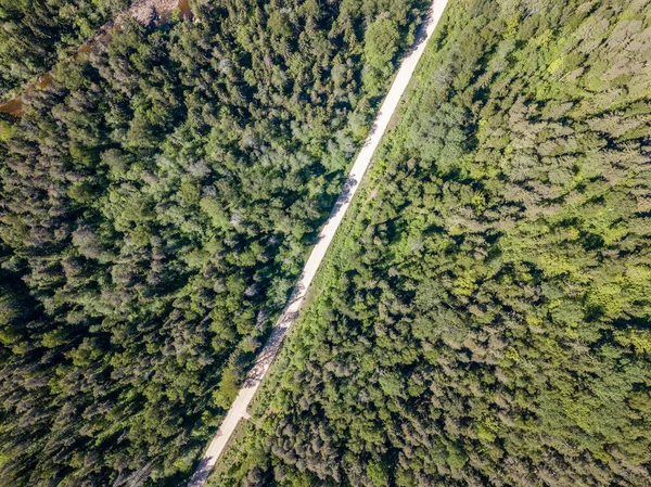 Imagem Drone Vista Aérea Área Rural Com Estrada Florestal Dia — Fotografia de Stock