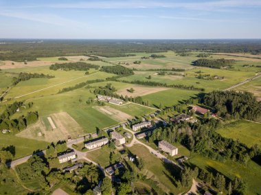 drone görüntü. çam ormanı ve yukarıdan alanlara Letonya çevrili asfalt yol