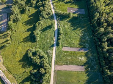 drone görüntü. çam ormanı ve yukarıdan alanlara Letonya çevrili asfalt yol
