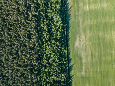 Drone görüntü. alanları ve bulutlu bahar günü ormanlarda kırsal alan hava görünümünü. Letonya