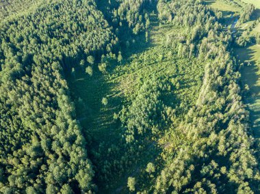 Drone görüntü. alanları ve bulutlu bahar günü ormanlarda kırsal alan hava görünümünü. Letonya