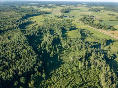 Drone görüntü. alanları ve bulutlu bahar günü ormanlarda kırsal alan hava görünümünü. Letonya