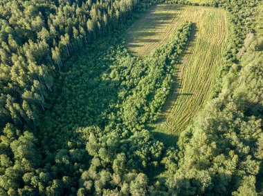 Drone görüntü. alanları ve bulutlu bahar günü ormanlarda kırsal alan hava görünümünü. Letonya