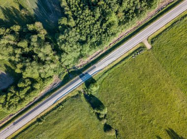 drone görüntü. çam ormanı ve yukarıdan alanlara Letonya çevrili asfalt yol