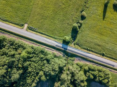 drone görüntü. çam ormanı ve yukarıdan alanlara Letonya çevrili asfalt yol