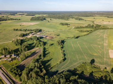 drone görüntü. çam ormanı ve yukarıdan alanlara Letonya çevrili asfalt yol