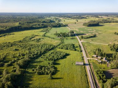 drone görüntü. çam ormanı ve yukarıdan alanlara Letonya çevrili asfalt yol
