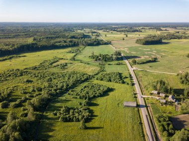 drone görüntü. çam ormanı ve yukarıdan alanlara Letonya çevrili asfalt yol