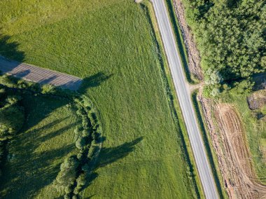 drone görüntü. çam ormanı ve yukarıdan alanlara Letonya çevrili asfalt yol