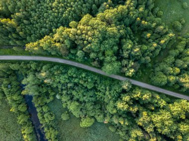 drone görüntü. çakıl yol çam ormanı yukarıdan çevrili. Yaz kırsal Letonya