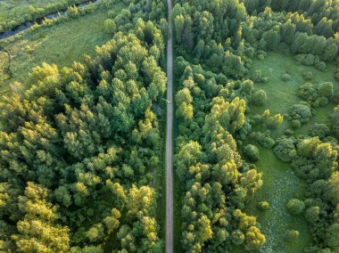 drone görüntü. çakıl yol çam ormanı yukarıdan çevrili. Yaz kırsal Letonya