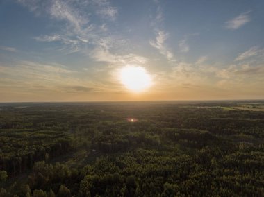 drone görüntü. Orman ağaçları ile uzun gölgeler içinde kırsal günbatımı hava görünümünü. Letonya
